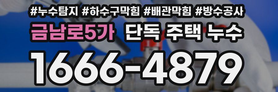 금남로5가 단독 주택 누수