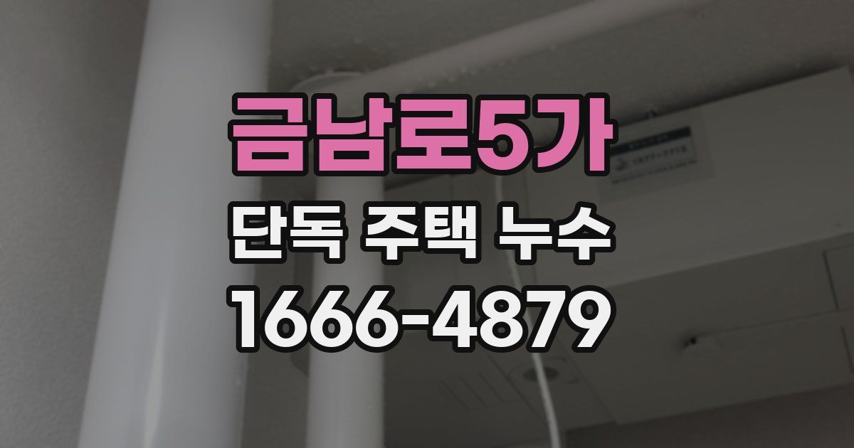 금남로5가 단독 주택 누수