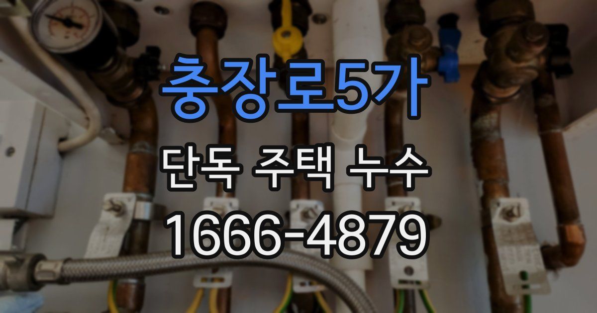 충장로5가 단독 주택 누수