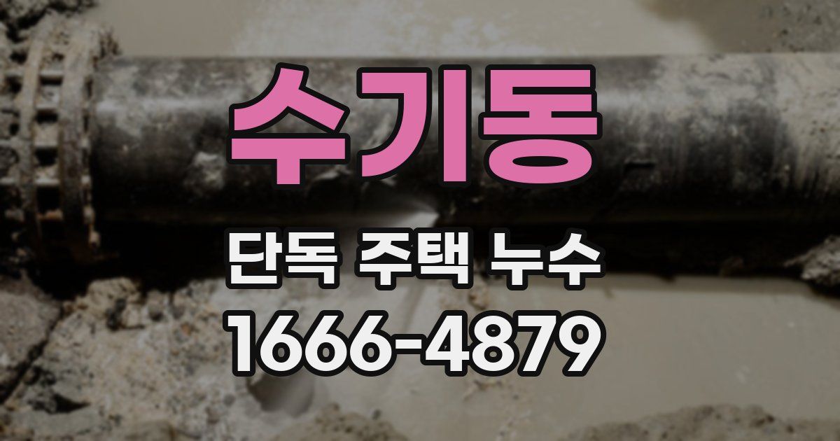 수기동 단독 주택 누수