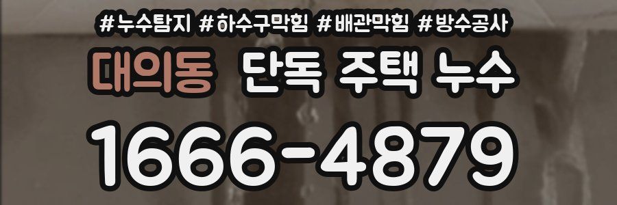 대의동 단독 주택 누수