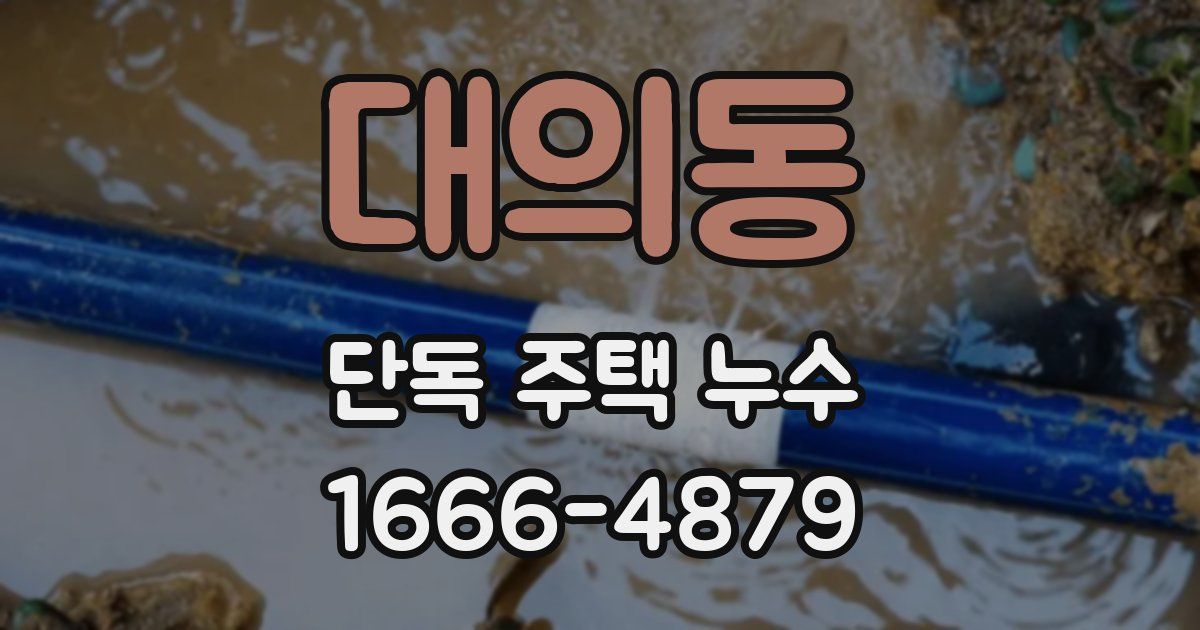 대의동 단독 주택 누수