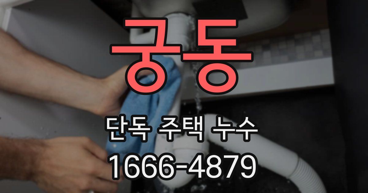 궁동 단독 주택 누수