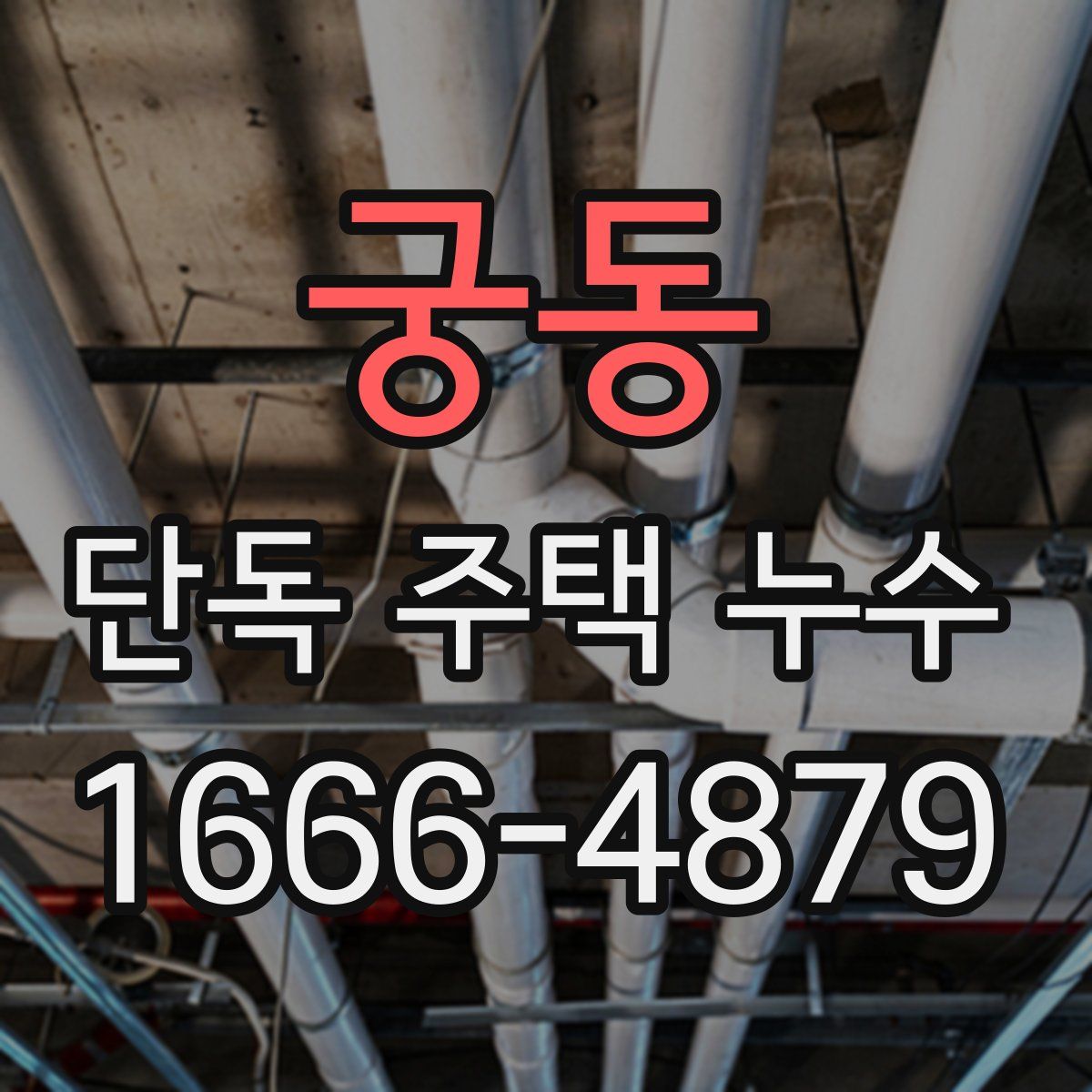 궁동 단독 주택 누수