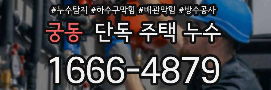 궁동 단독 주택 누수