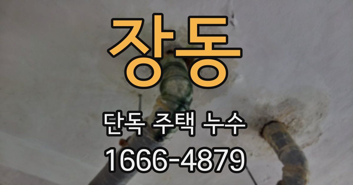 장동 단독 주택 누수