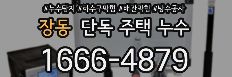 장동 단독 주택 누수