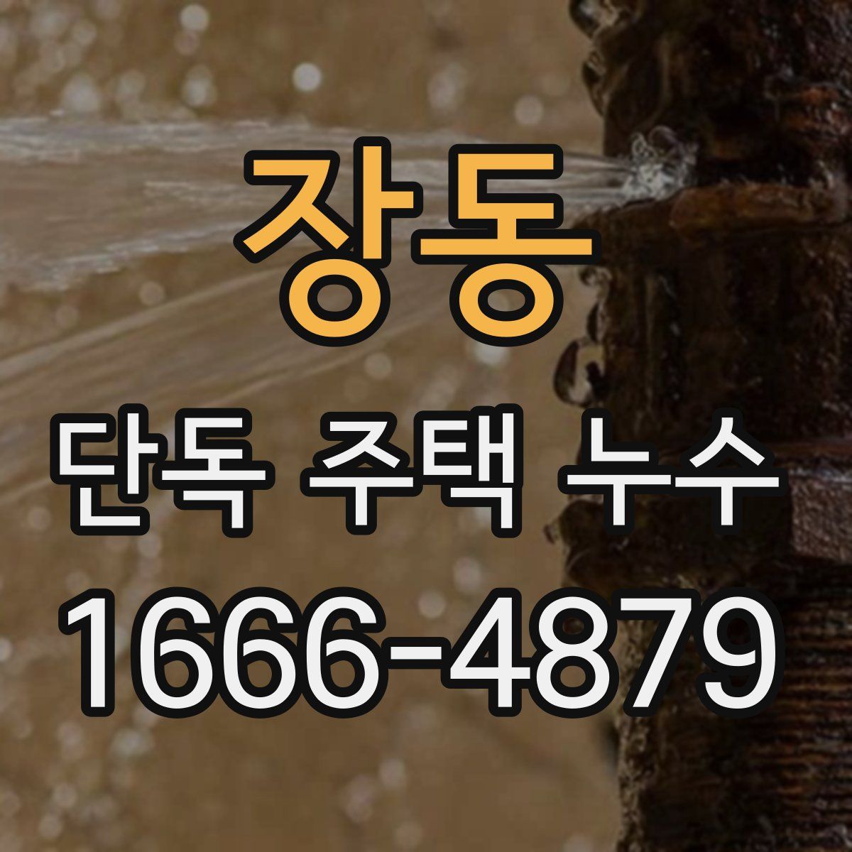 장동 단독 주택 누수