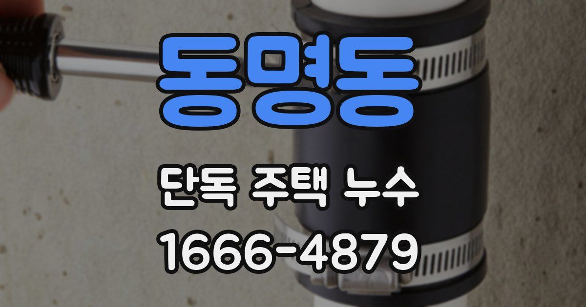 동명동 단독 주택 누수