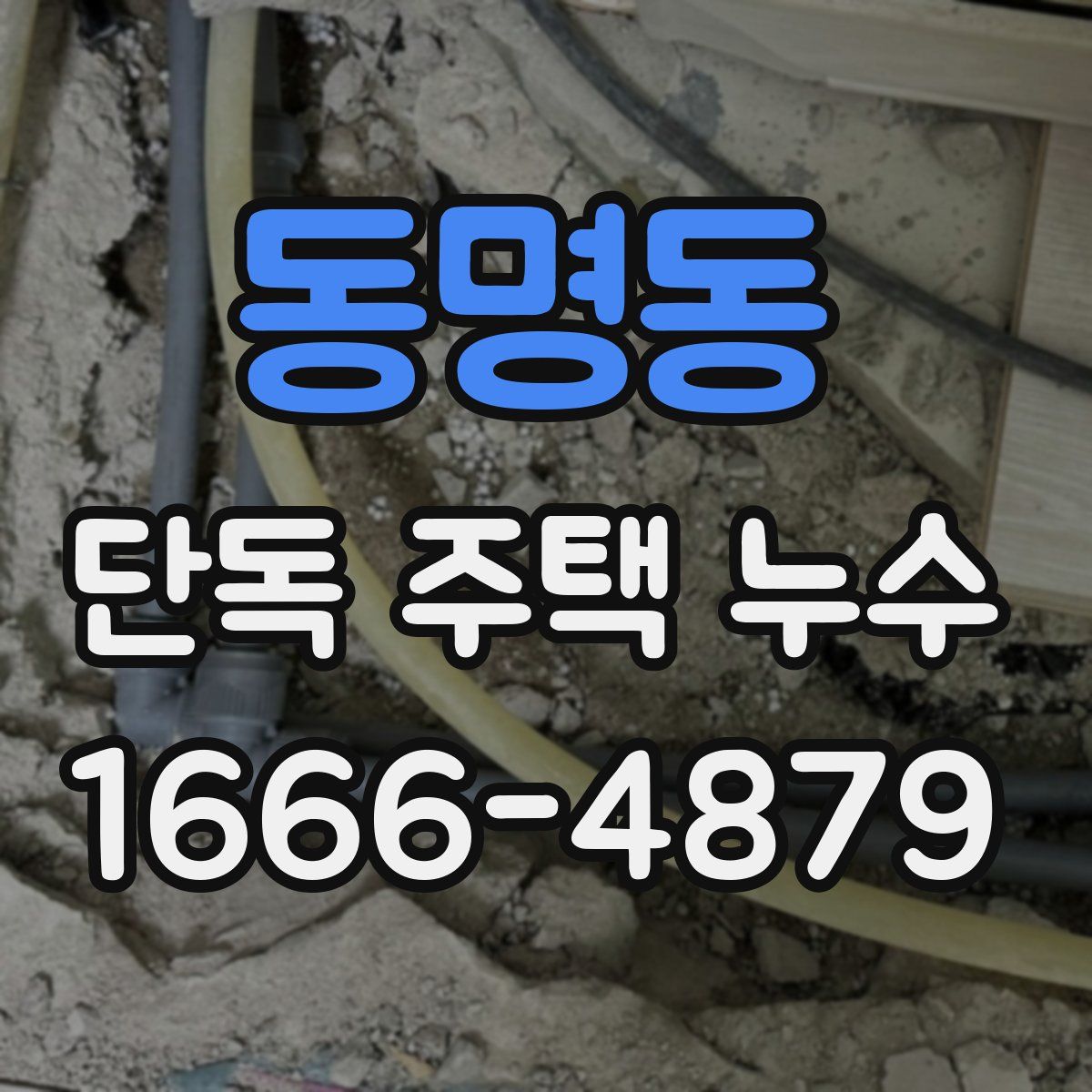 동명동 단독 주택 누수