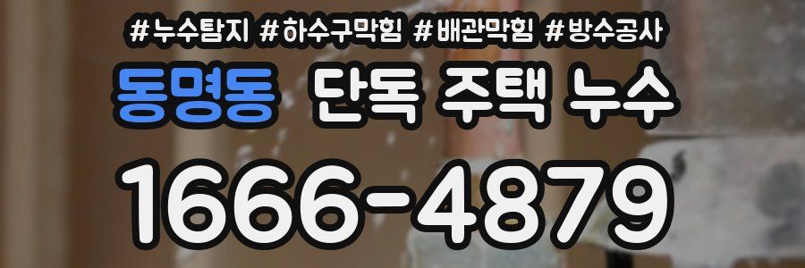동명동 단독 주택 누수