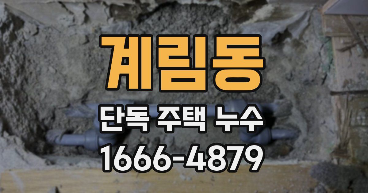 계림동 단독 주택 누수