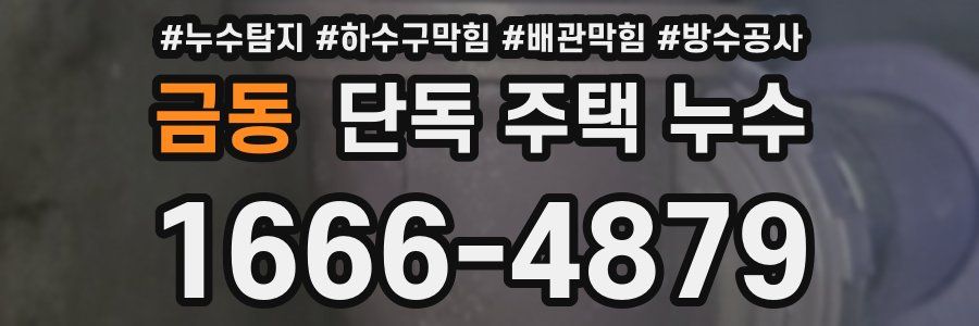 금동 단독 주택 누수