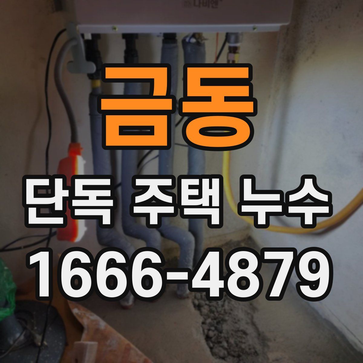금동 단독 주택 누수