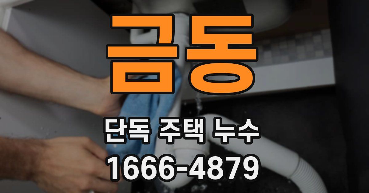 금동 단독 주택 누수