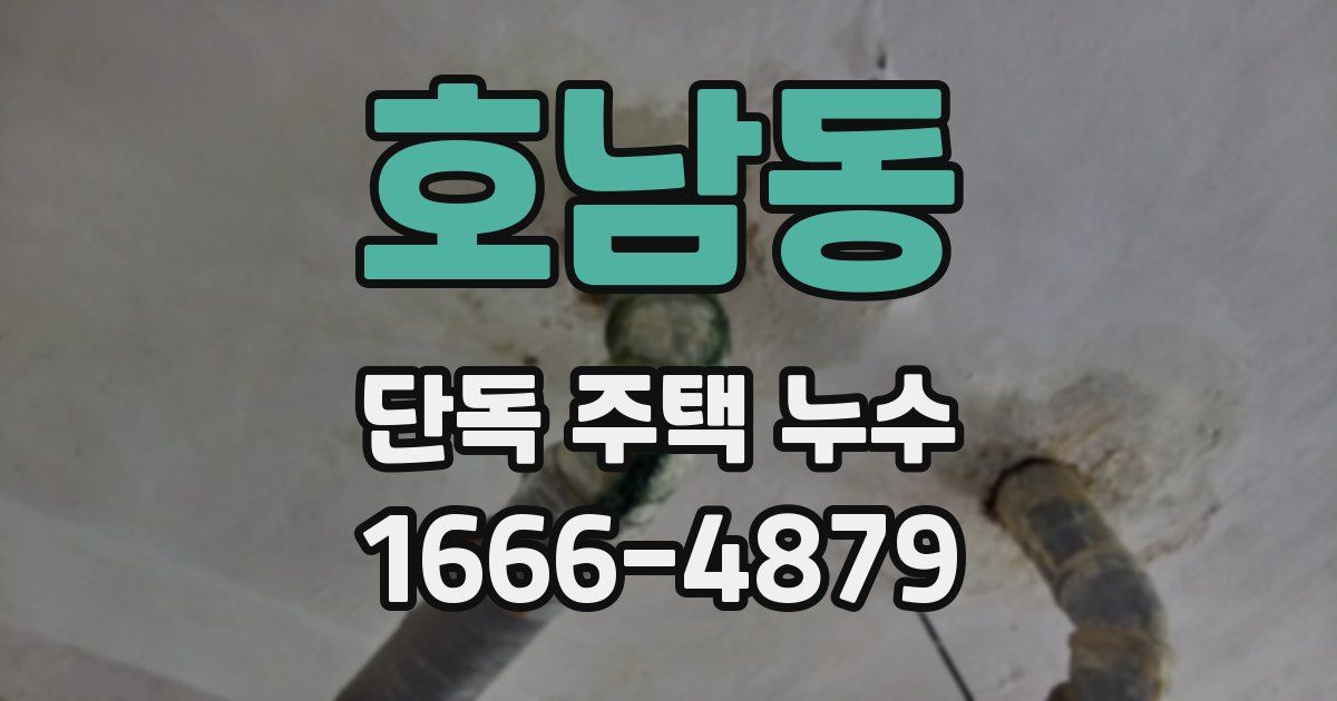 호남동 단독 주택 누수