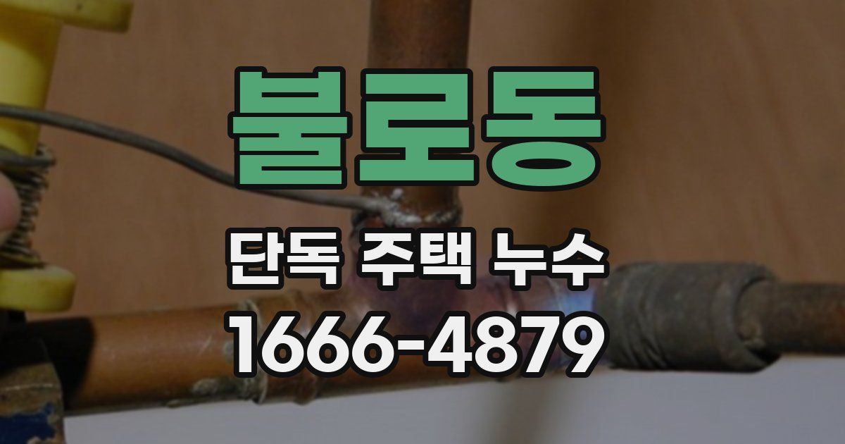 불로동 단독 주택 누수