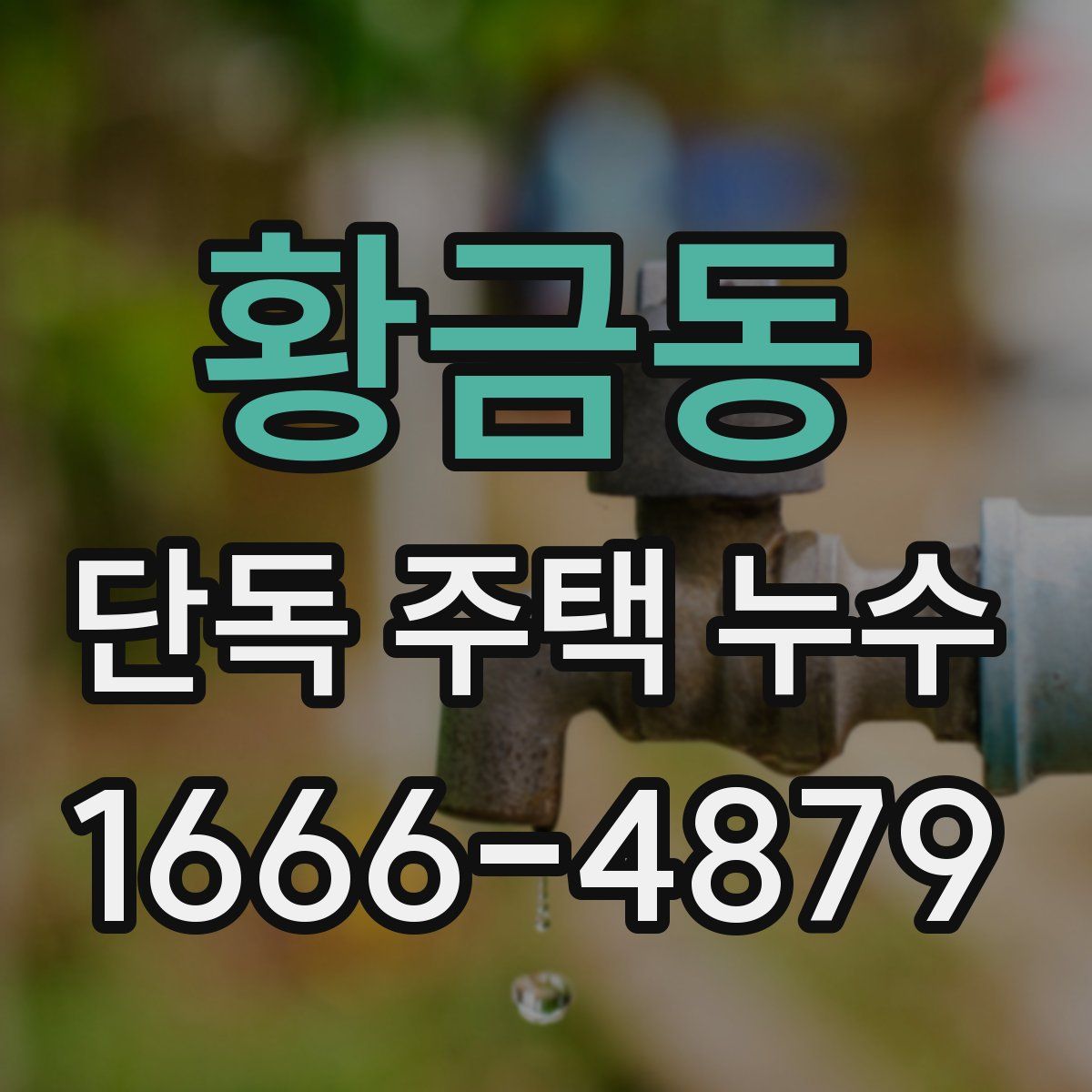 황금동 단독 주택 누수