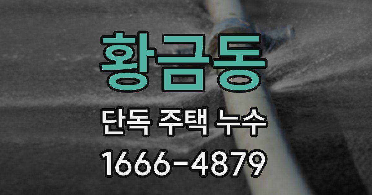 황금동 단독 주택 누수