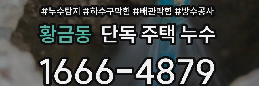 황금동 단독 주택 누수