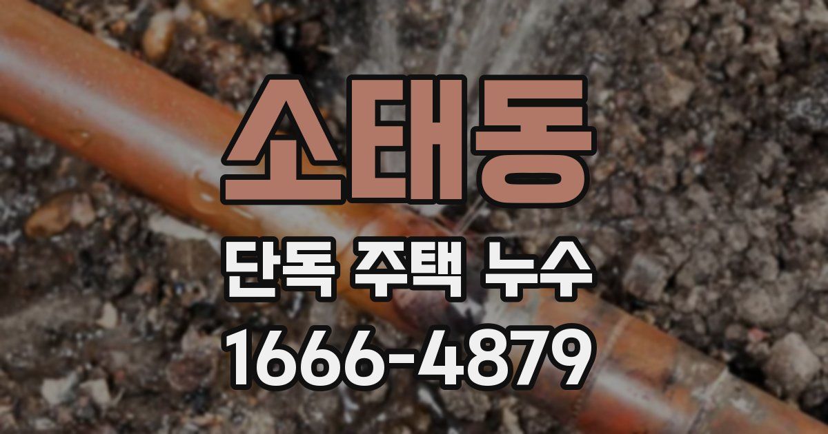 소태동 단독 주택 누수