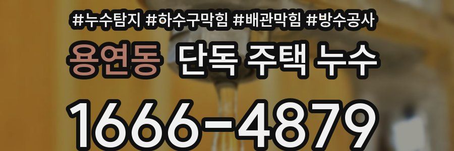용연동 단독 주택 누수