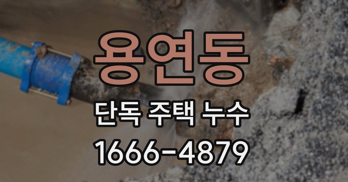 용연동 단독 주택 누수