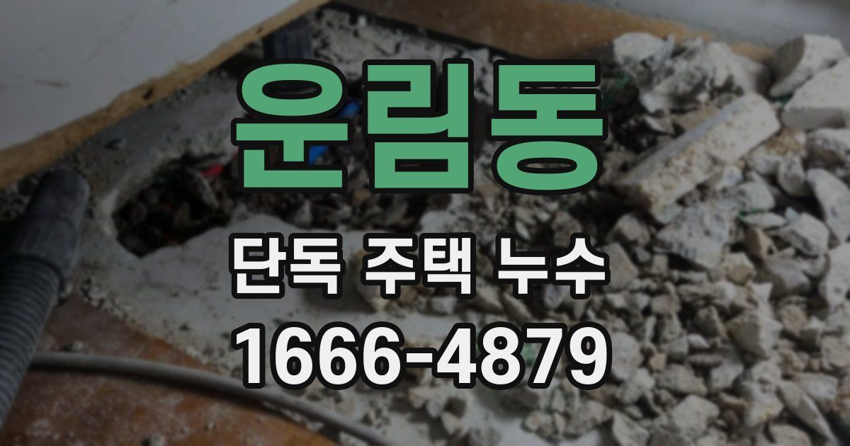 운림동 단독 주택 누수