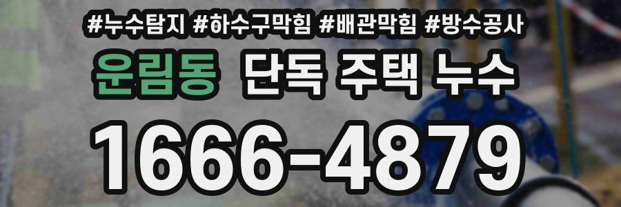 운림동 단독 주택 누수