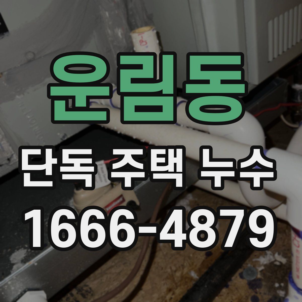 운림동 단독 주택 누수
