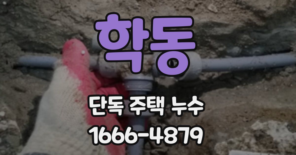 학동 단독 주택 누수