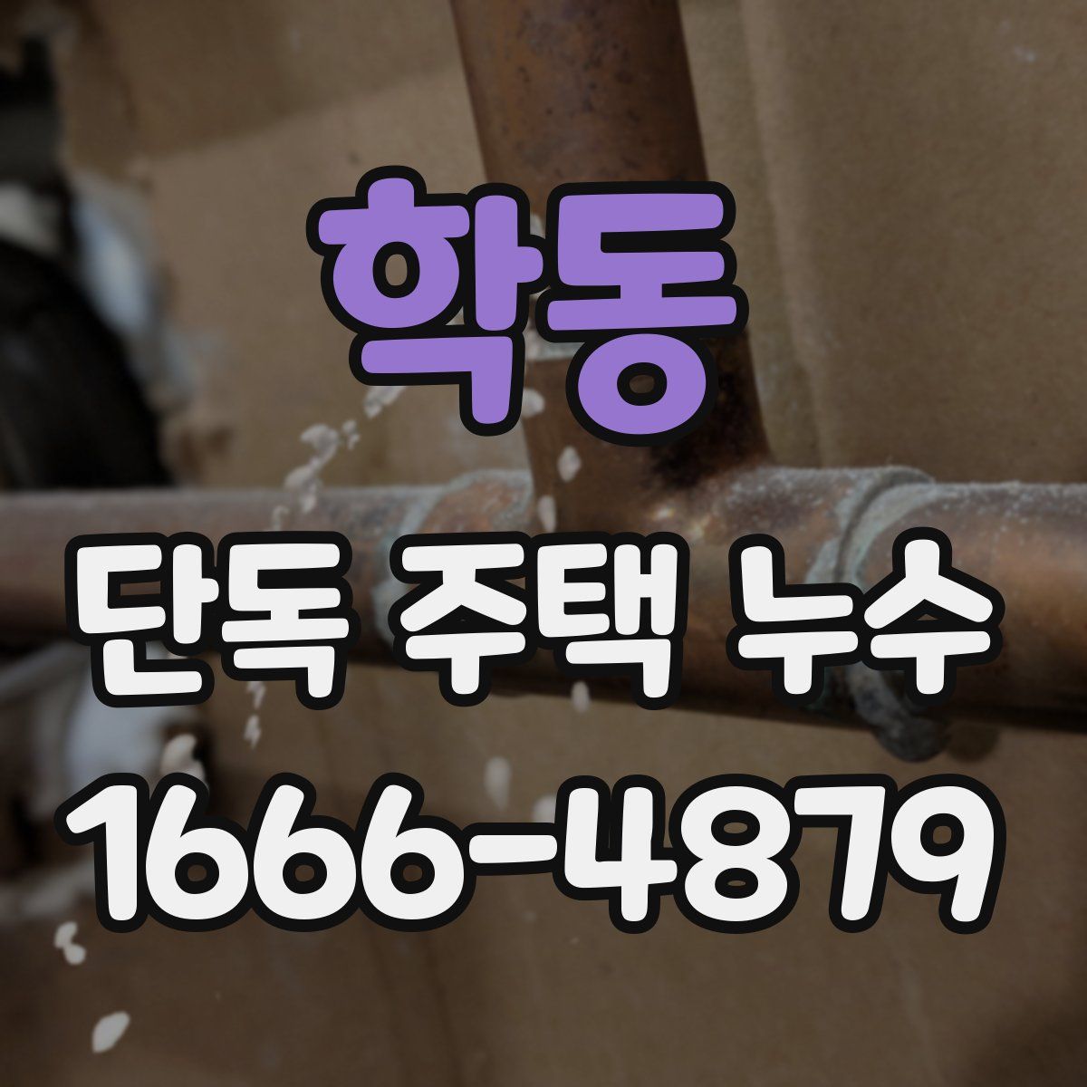 학동 단독 주택 누수