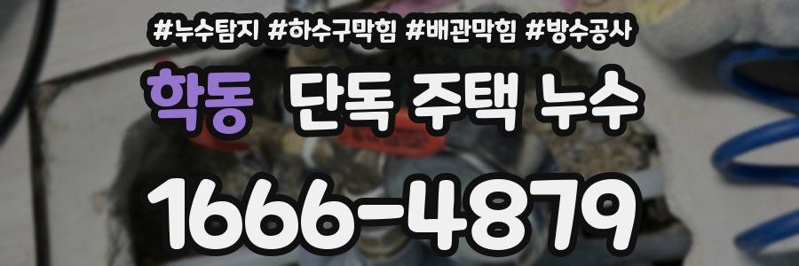 학동 단독 주택 누수