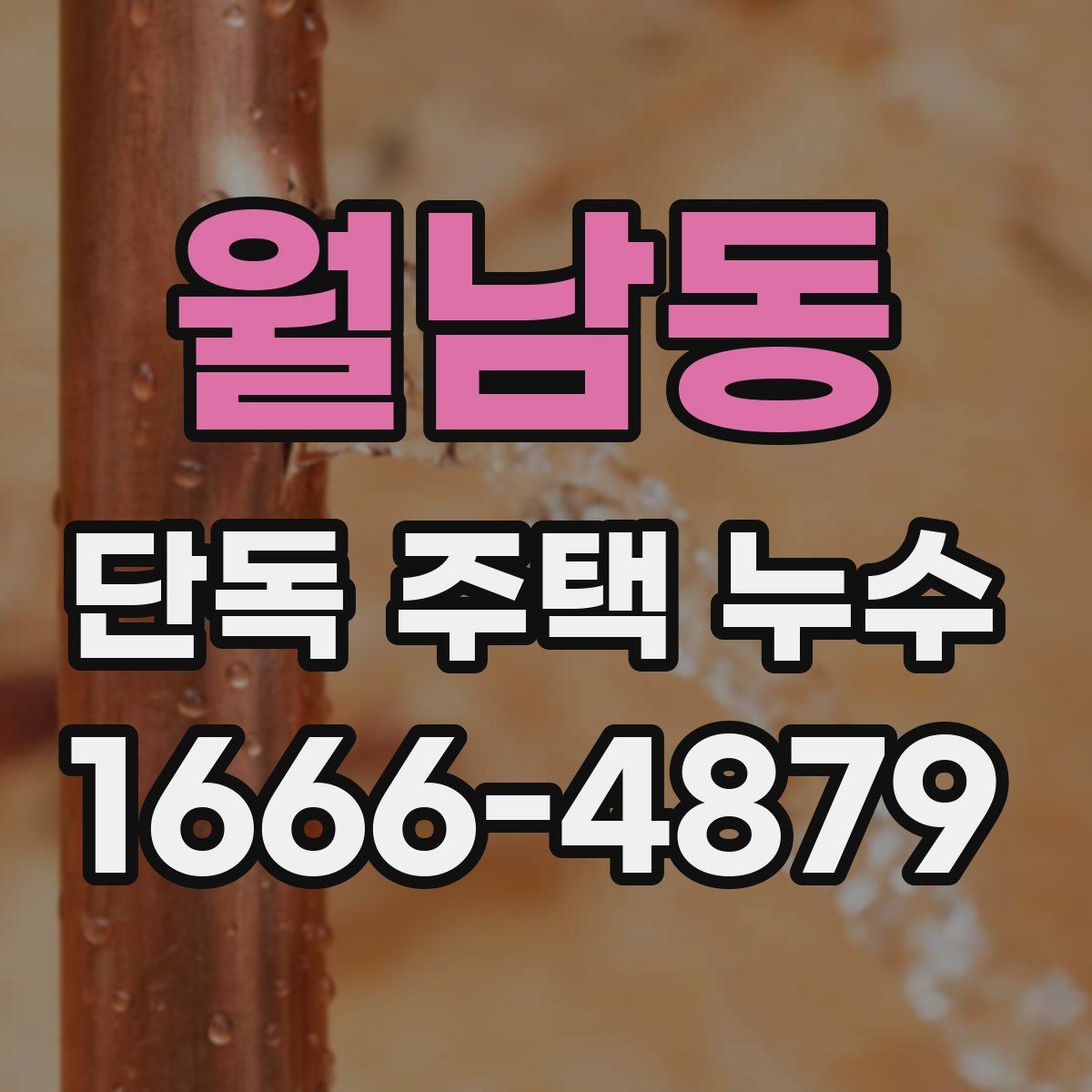 월남동 단독 주택 누수