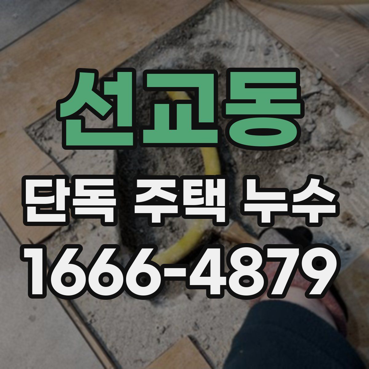 선교동 단독 주택 누수