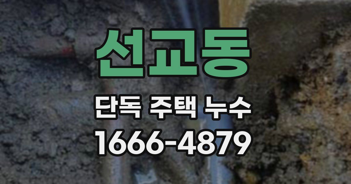 선교동 단독 주택 누수