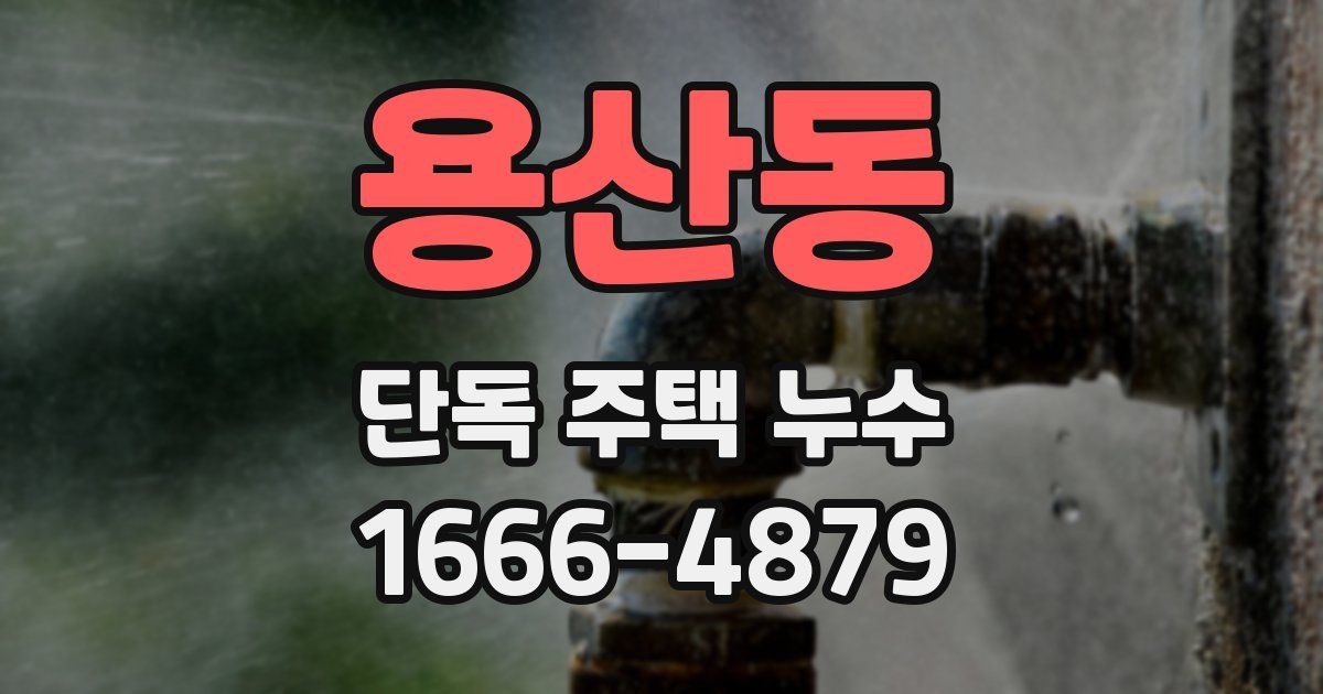 용산동 단독 주택 누수