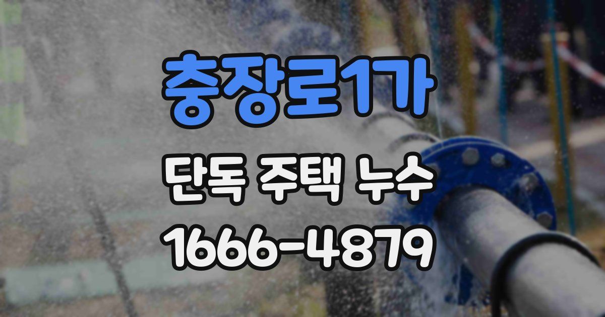 충장로1가 단독 주택 누수