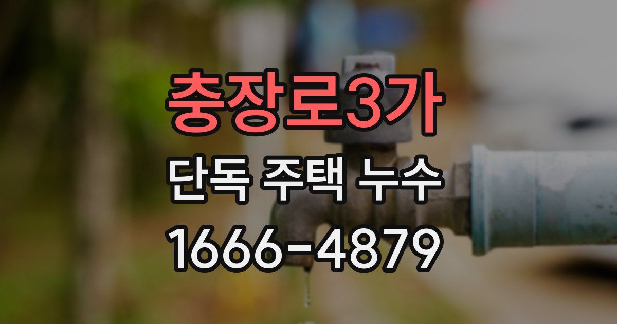 충장로3가 단독 주택 누수