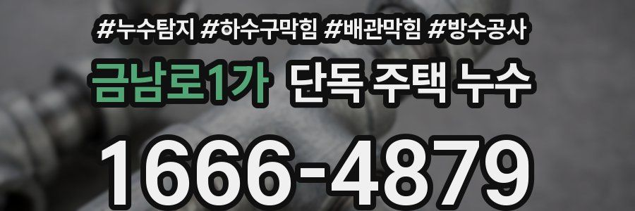금남로1가 단독 주택 누수