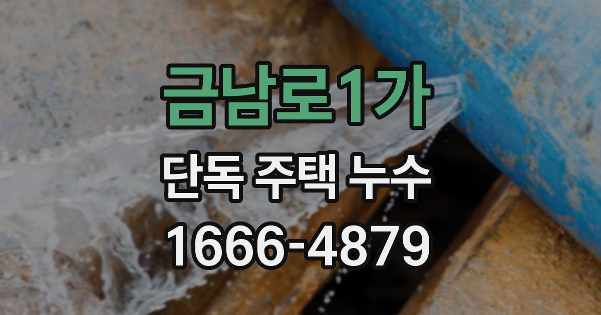금남로1가 단독 주택 누수