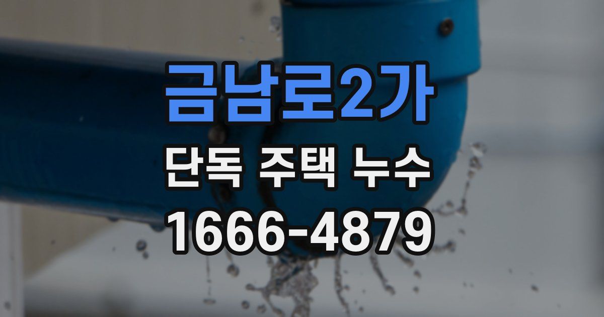 금남로2가 단독 주택 누수