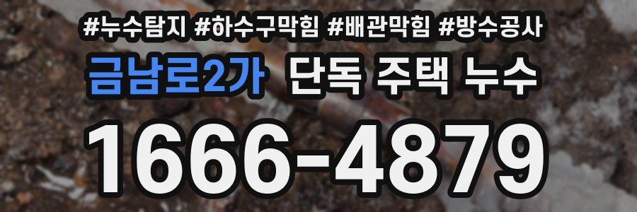 금남로2가 단독 주택 누수