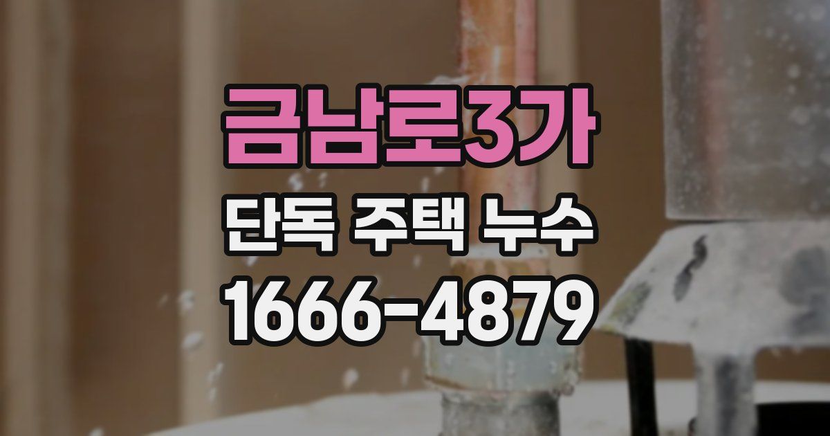 금남로3가 단독 주택 누수