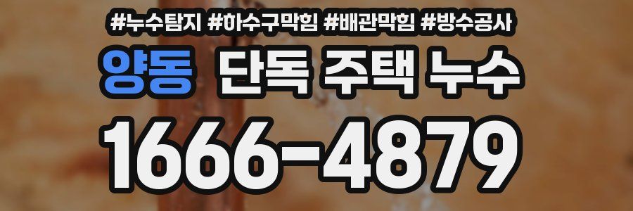 양동 단독 주택 누수