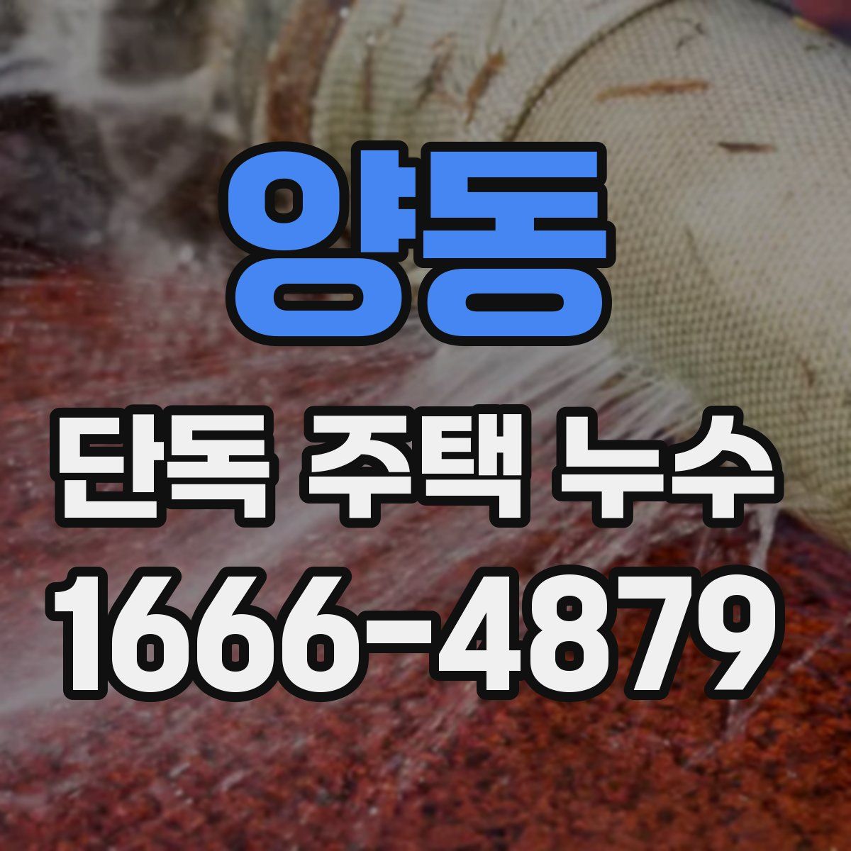 양동 단독 주택 누수
