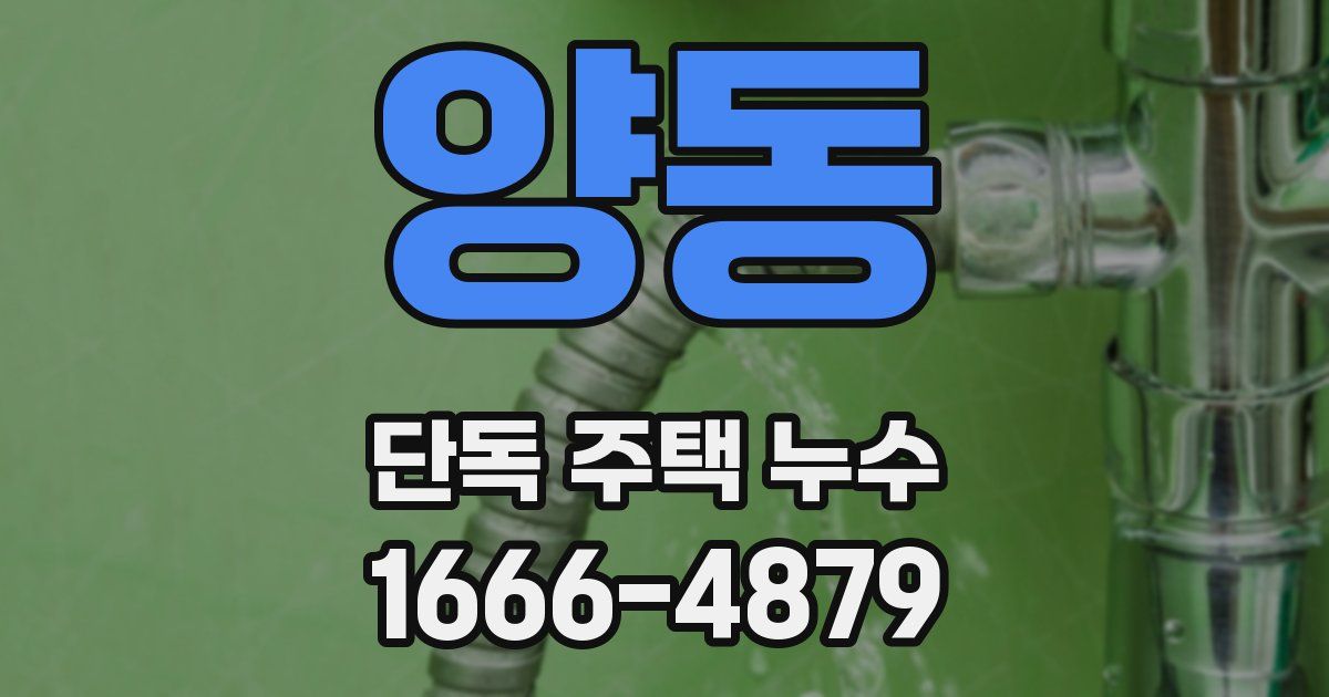 양동 단독 주택 누수