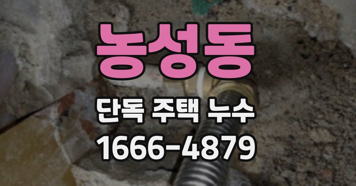 농성동 단독 주택 누수