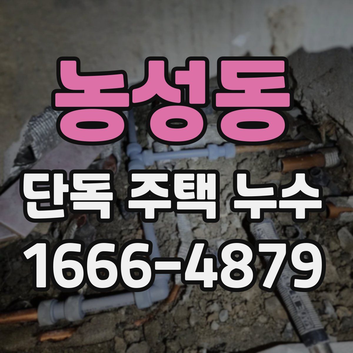 농성동 단독 주택 누수