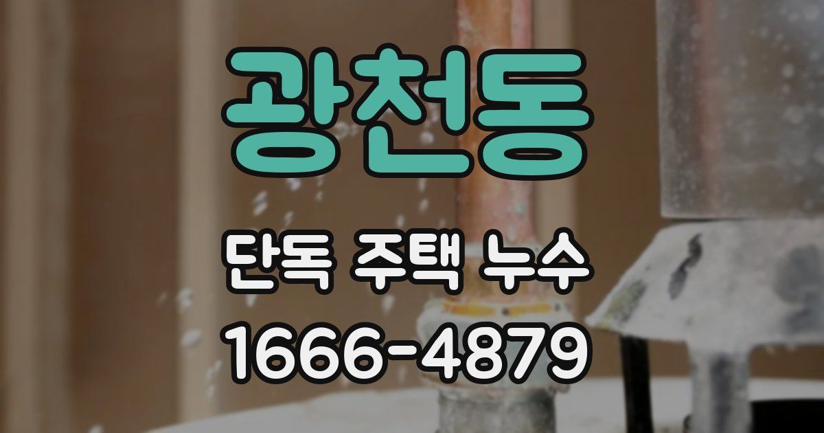 광천동 단독 주택 누수